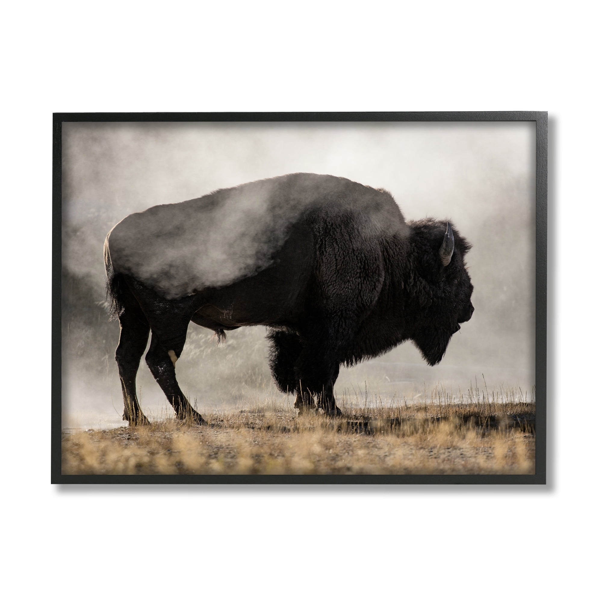 Stupell Industries Powerful Bison Grazing Foggy Rural Pasture Photography Photograph Black Framed Art Print Wall Art, Design by Danita Delimont
