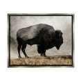 thumbnail image 1 of Stupell Industries Powerful Bison Grazing Foggy Rural Pasture Photography Photograph Luster Gray Floating Framed Canvas Print Wall Art, Design by Danita Delimont, 1 of 5