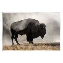 Stupell Industries Powerful Bison Grazing Foggy Rural Pasture Photography Photograph Unframed Art Print Wall Art, Design by Danita Delimont