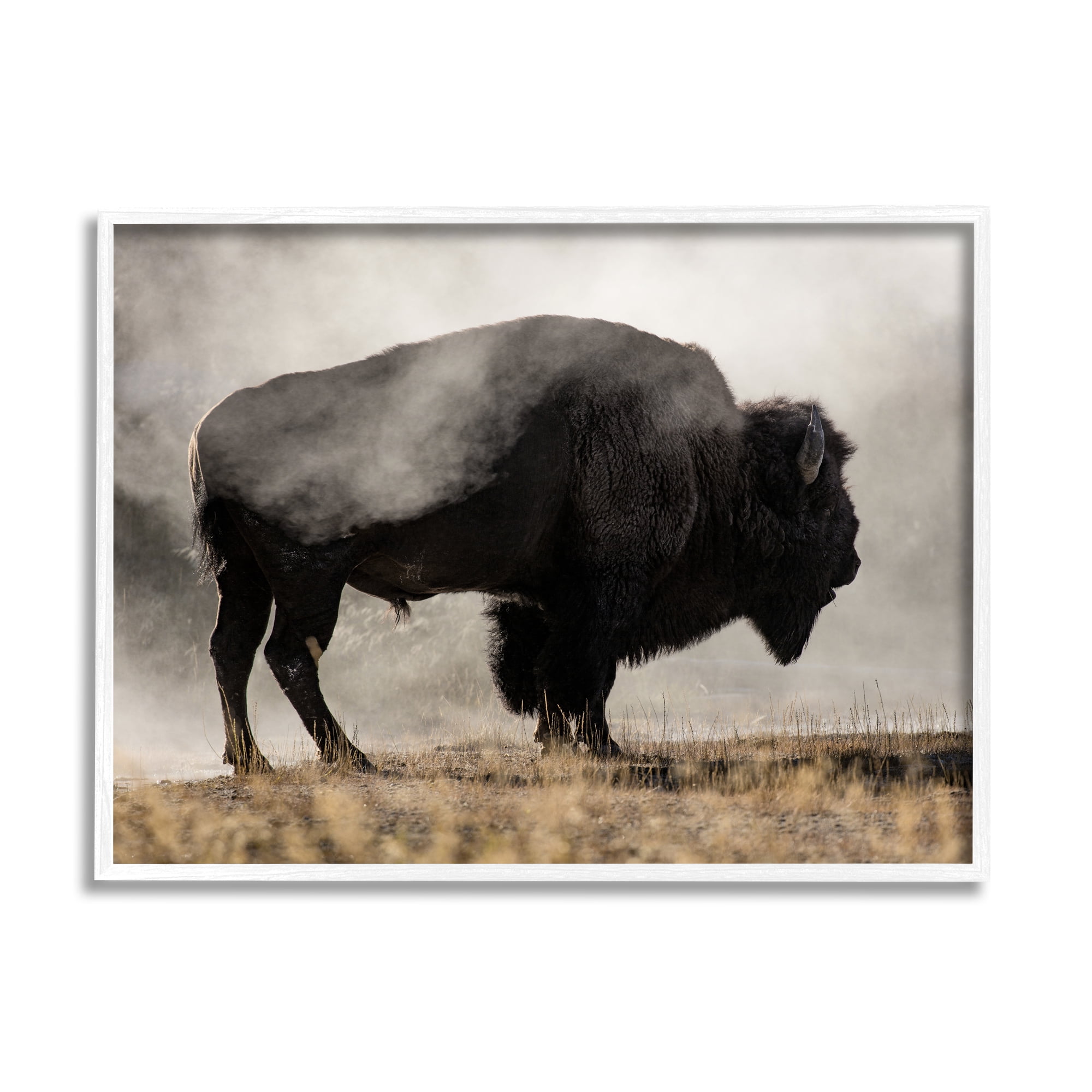 Stupell Industries Powerful Bison Grazing Foggy Rural Pasture Photography Photograph White Framed Art Print Wall Art, Design by Danita Delimont