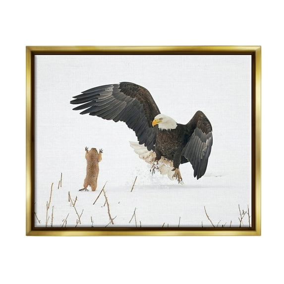 Stupell Industries Prairie Dog & Eagle Animals & Insects Photography Gold Floater Framed Canvas Art Print Wall Art, 21 x 17