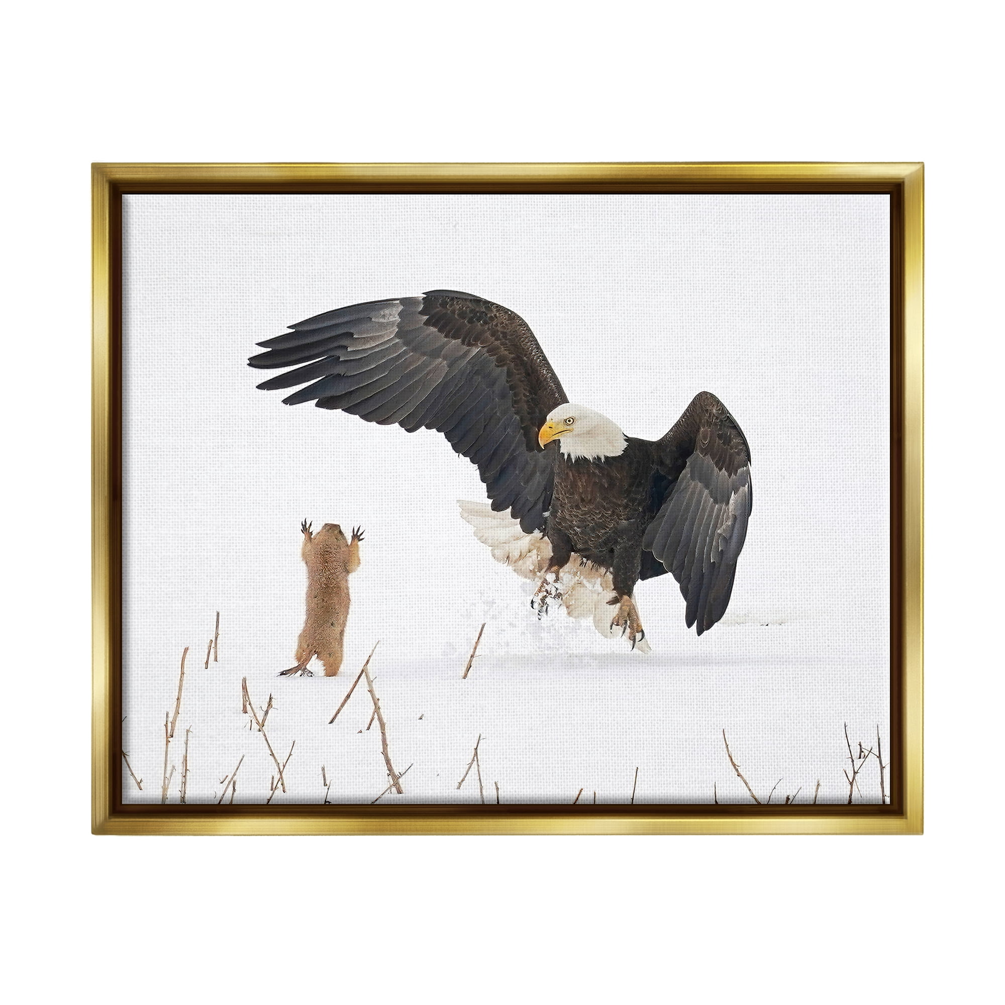 Stupell Industries Prairie Dog & Eagle Animals & Insects Photography Gold Floater Framed Canvas Art Print Wall Art, 31 x 25
