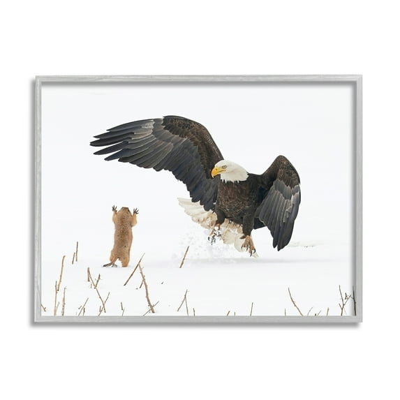 Stupell Industries Prairie Dog & Eagle Animals & Insects Photography Gray Framed Art Print Wall Art, 30 x 24