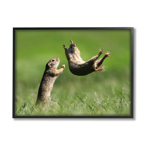 Stupell Industries Prairie Dogs Photography Animals & Insects Photography Black Framed Art Print Wall Art, 30 x 24