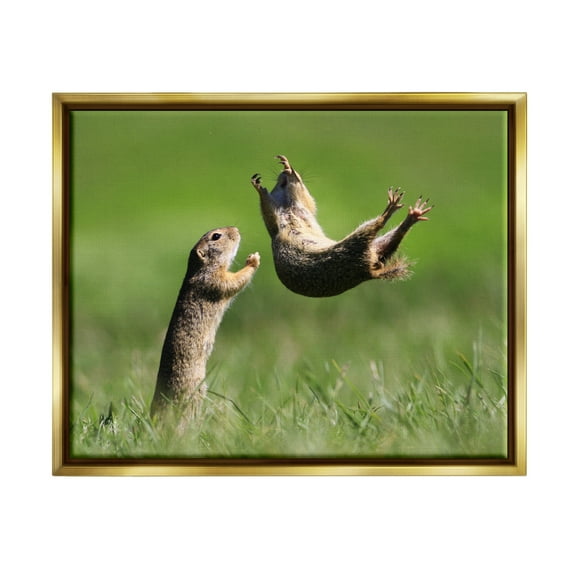 Stupell Industries Prairie Dogs Photography Animals & Insects Photography Gold Floater Framed Canvas Art Print Wall Art, 31 x 25