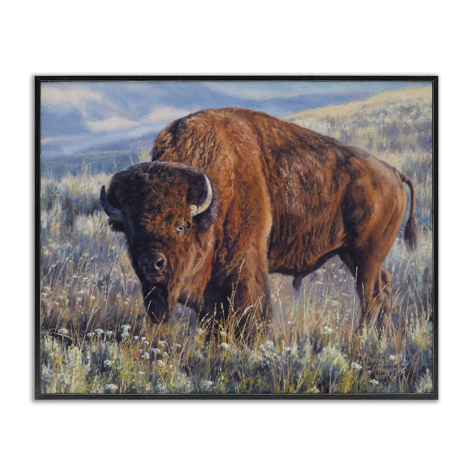 Stupell Industries Prairie King Bison Landscape Photography Black Framed Art Print Wall Art, 20 x 16