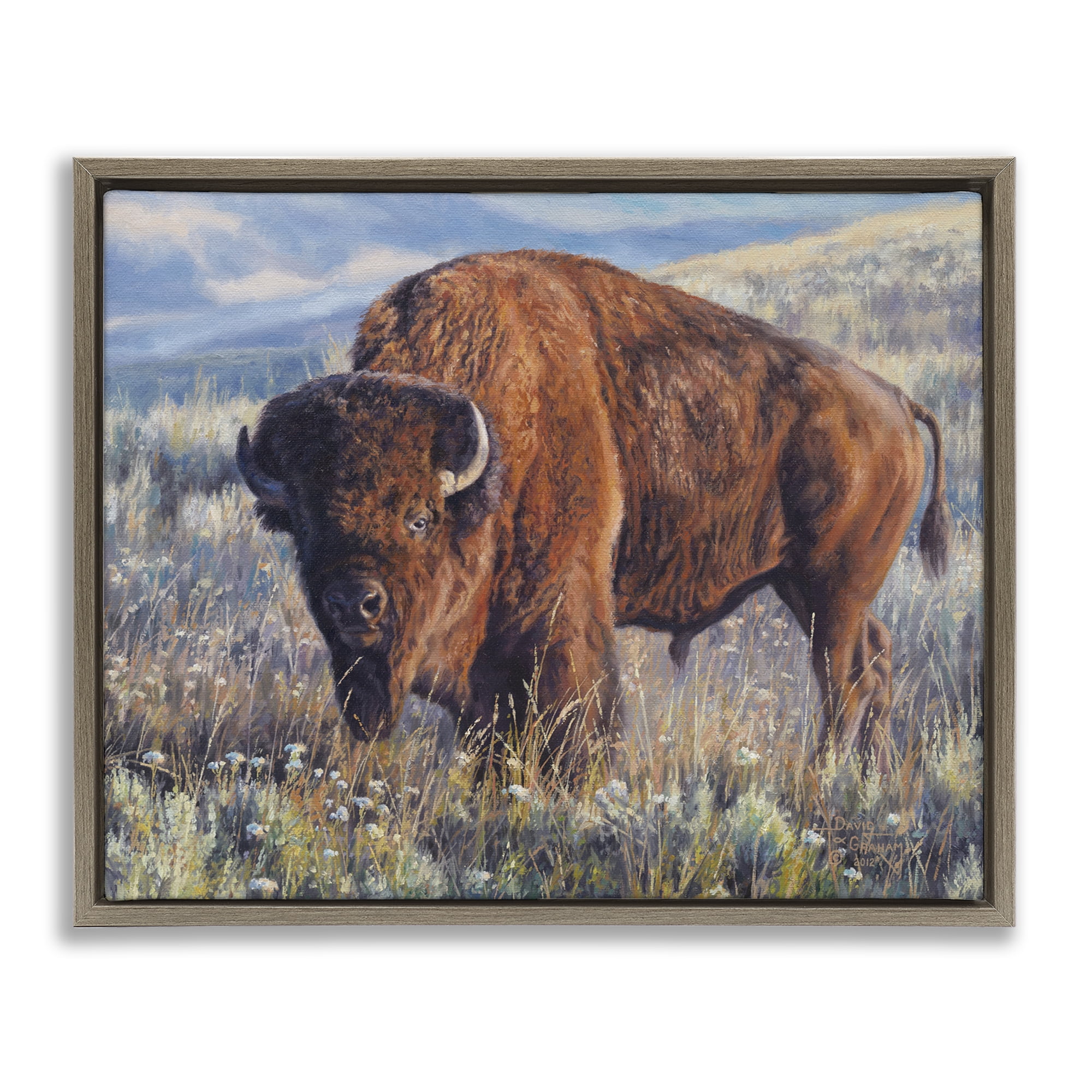 Stupell Industries Prairie King Bison Landscape Photography Brown Floater Framed Canvas Art Print Wall Art, 31 x 25