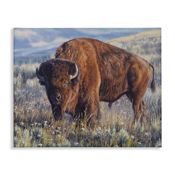 Stupell Industries Prairie King Bison Landscape Photography Gallery Wrapped Canvas Art Print Wall Art, 40 x 30