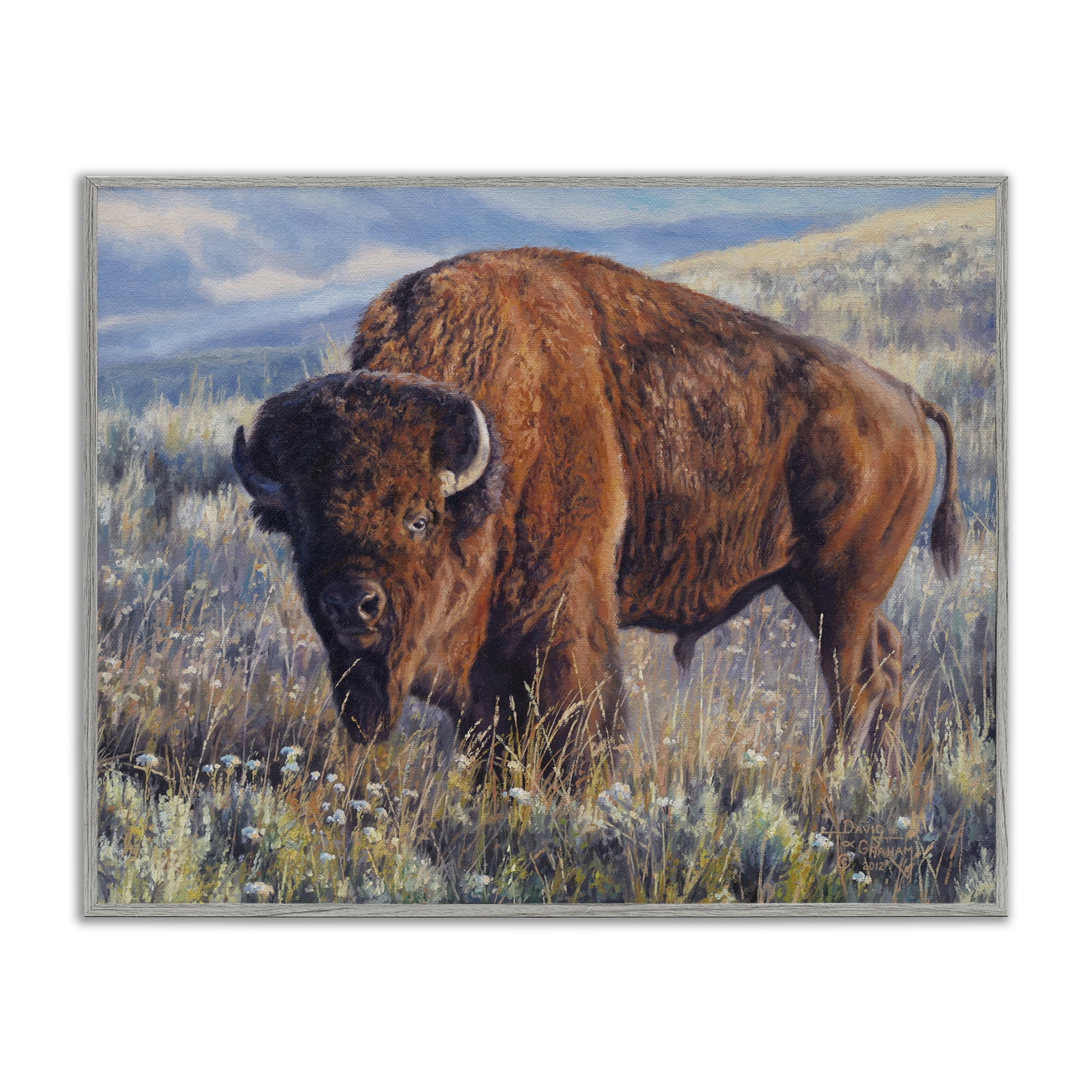 Stupell Industries Prairie King Bison Landscape Photography Gray Framed Art Print Wall Art, 30 x 24