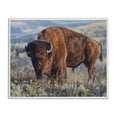 thumbnail image 1 of Stupell Industries Prairie King Bison Landscape Photography White Framed Art Print Wall Art, 14 x 11, 1 of 10