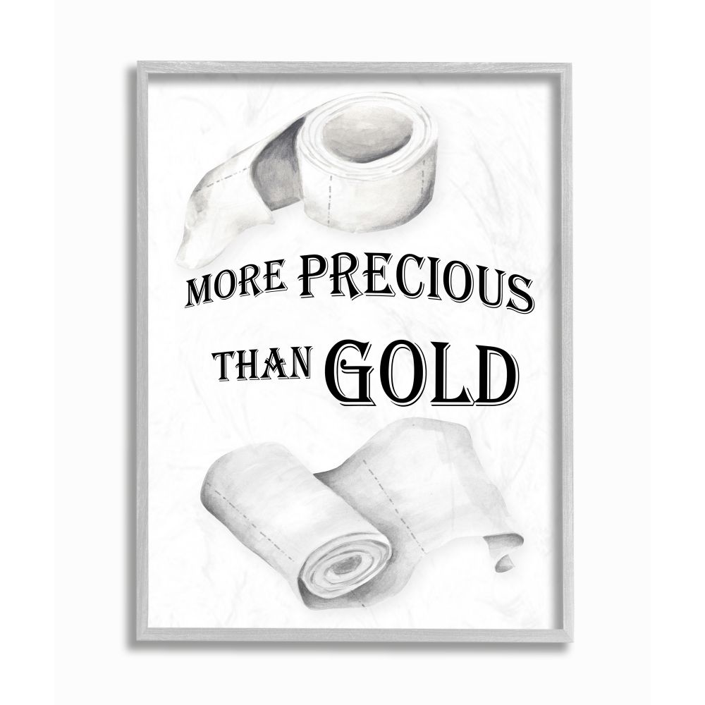 Stupell Industries More Precious Than Gold Phrase Toilet Paper Joke Framed Wall Art Design by Gail Green Licensing and Design Limited, 16" x 20", Gray Framed