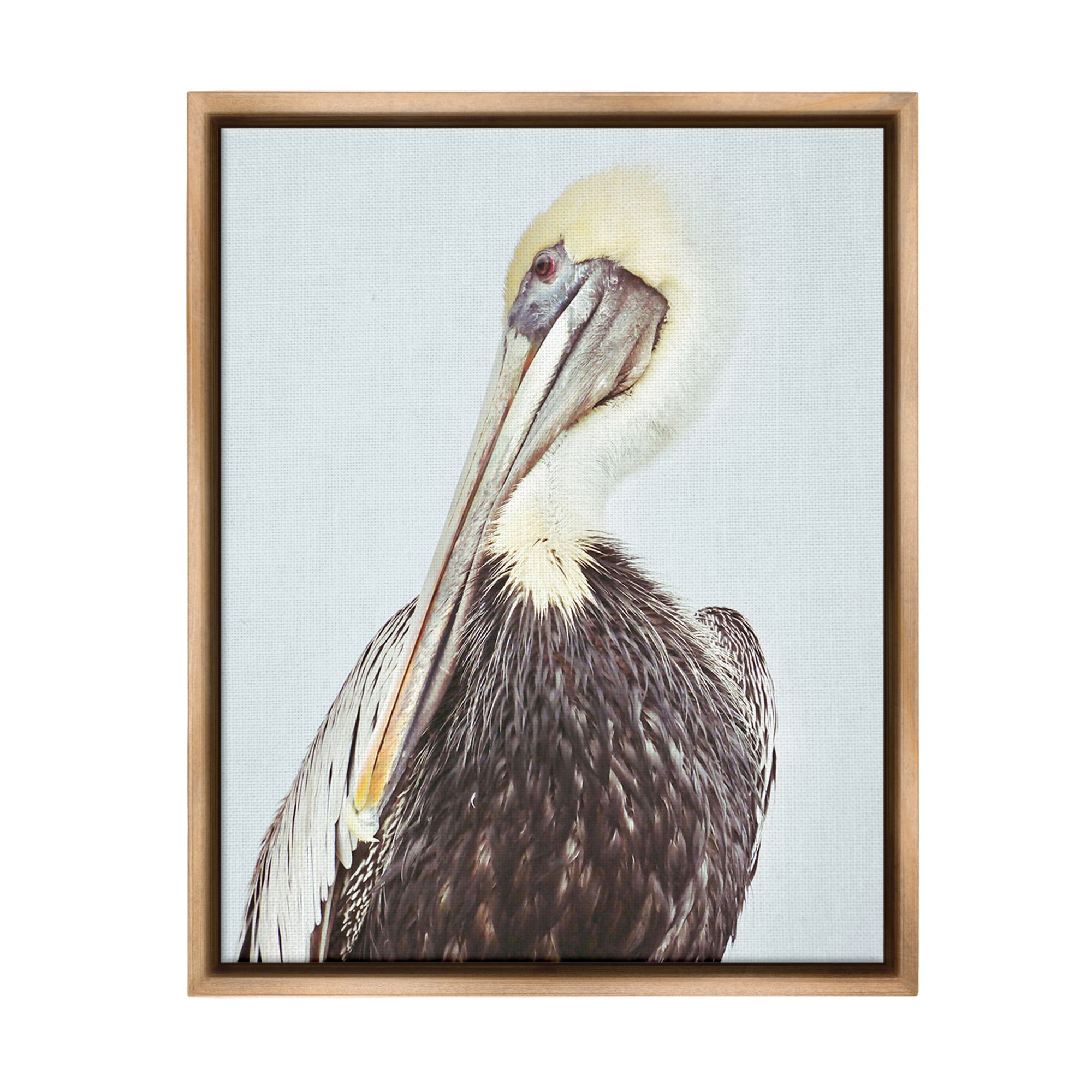 Stupell Industries Preening Pelican Photography Animals & Insects Painting Brown Floater Framed Canvas Art Print Wall Art, 25 x 31