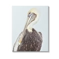 thumbnail image 1 of Stupell Industries Preening Pelican Photography Animals & Insects Painting Gallery Wrapped Canvas Art Print Wall Art, 16 x 20, 1 of 8