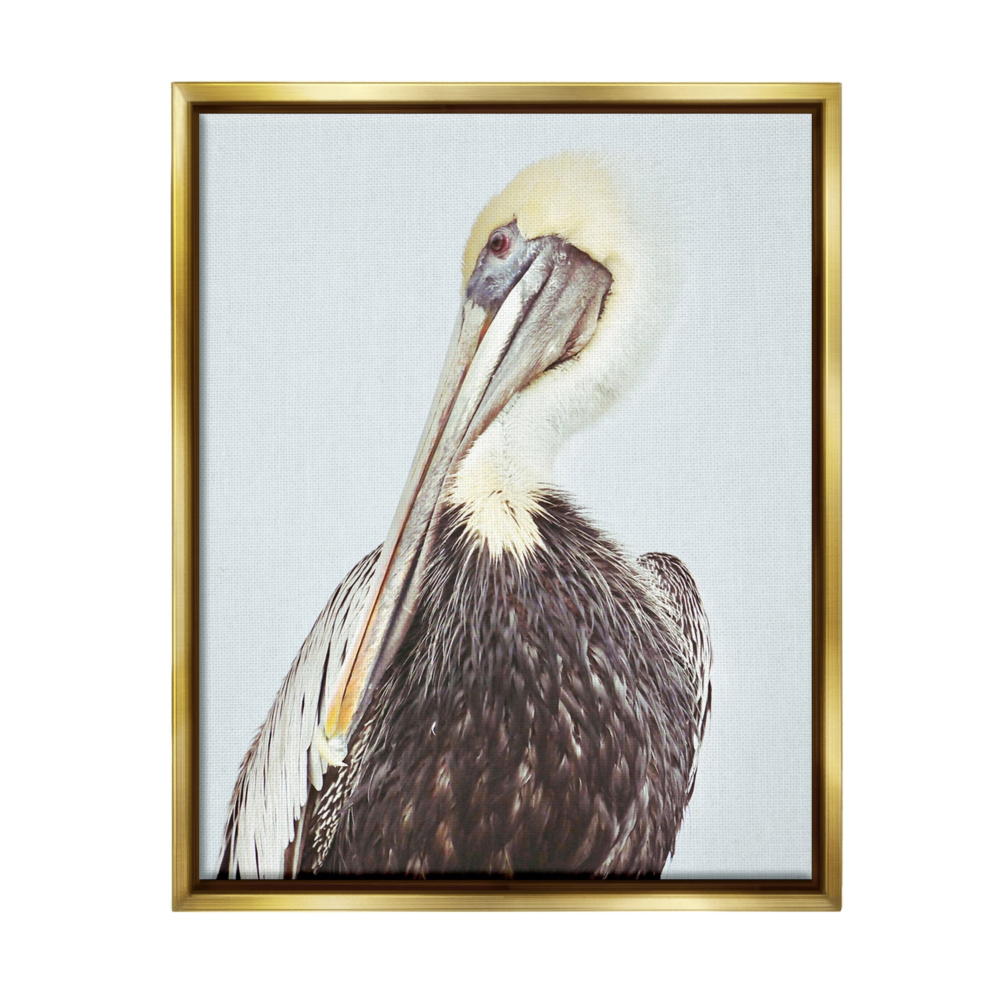 Stupell Industries Preening Pelican Photography Animals & Insects Painting Gold Floater Framed Canvas Art Print Wall Art, 25 x 31