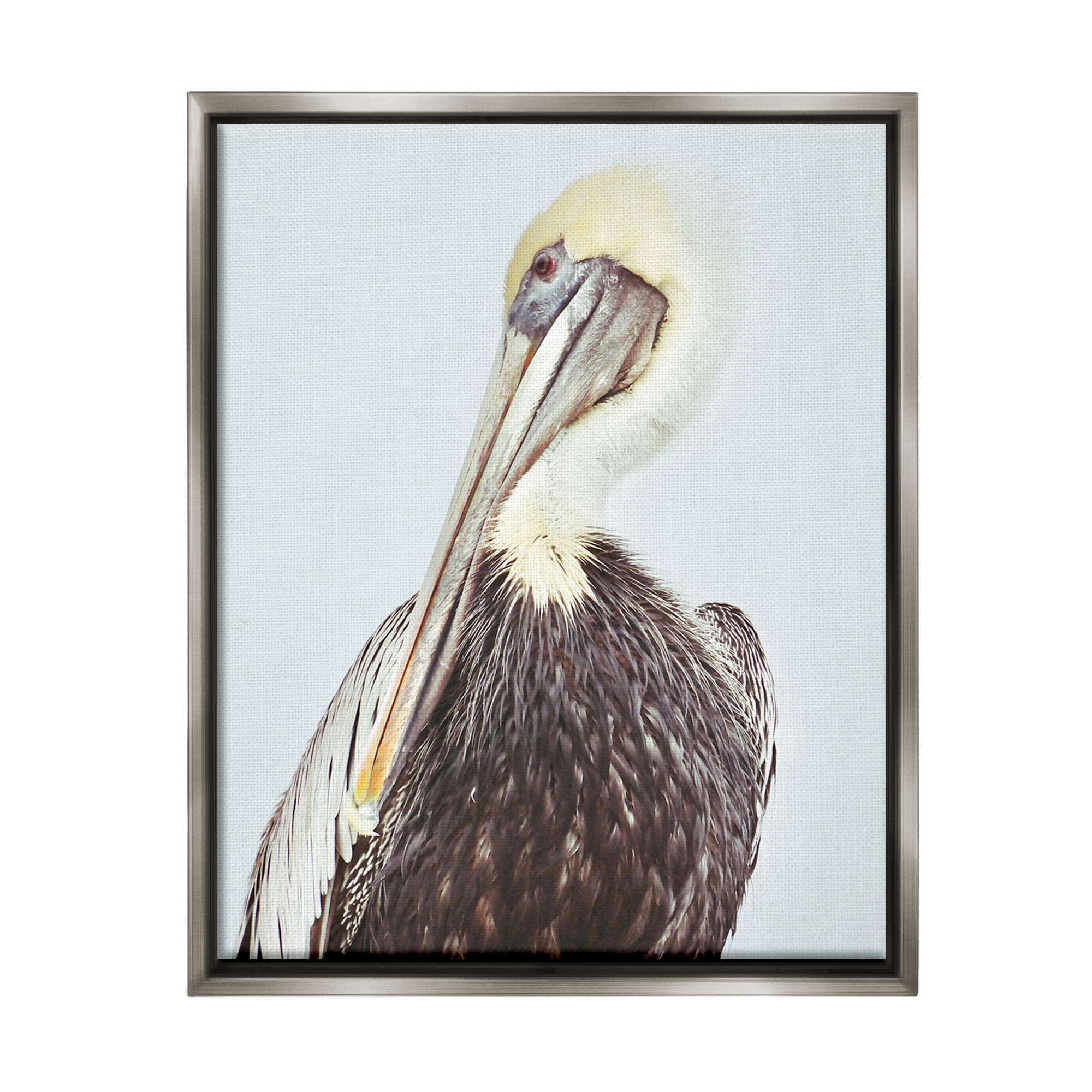 Stupell Industries Preening Pelican Photography Animals & Insects Painting Gray Floater Framed Canvas Art Print Wall Art, 17 x 21