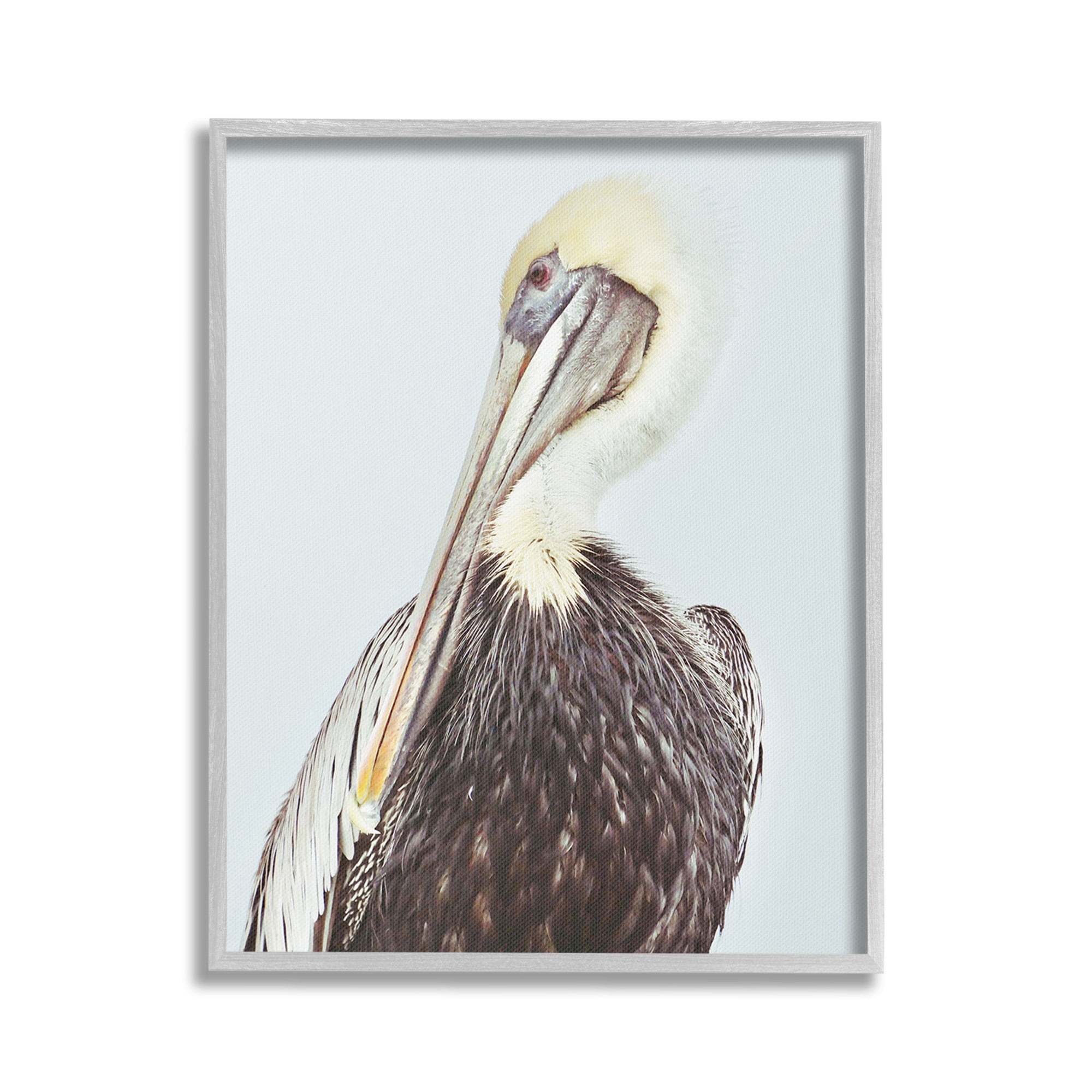 Stupell Industries Preening Pelican Photography Animals & Insects Painting Gray Framed Art Print Wall Art, 16 x 20