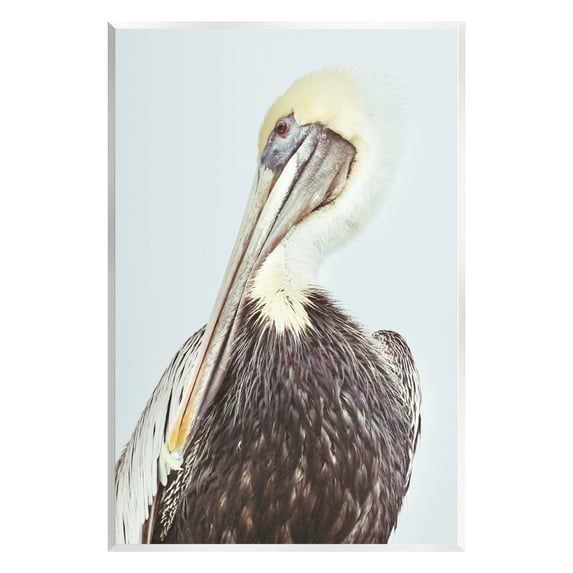 Stupell Industries Preening Pelican Photography Animals & Insects Painting Unframed Art Print Wall Art, 10 x 15