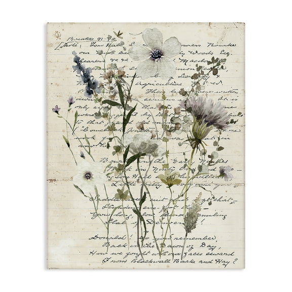 Stupell Industries Pressed Flowers on Page Plants & Flowers Painting Wrapped Canvas Art Print Wall Art, 16 x 20