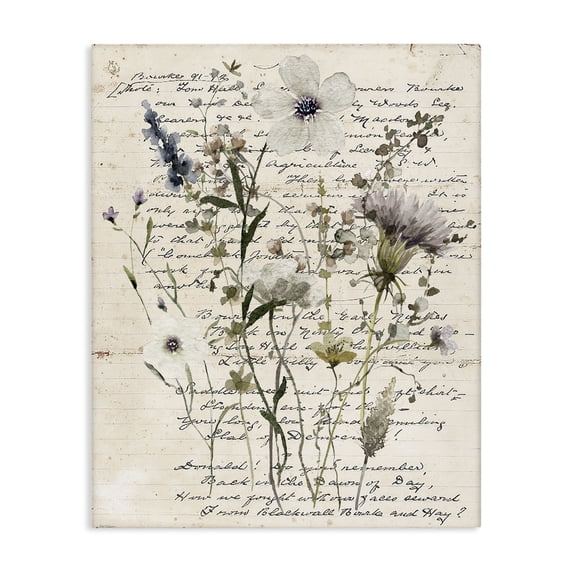 Stupell Industries Cottage Pressed Flowers on Page Canvas Art, 24 x 30, by Carol Robinson