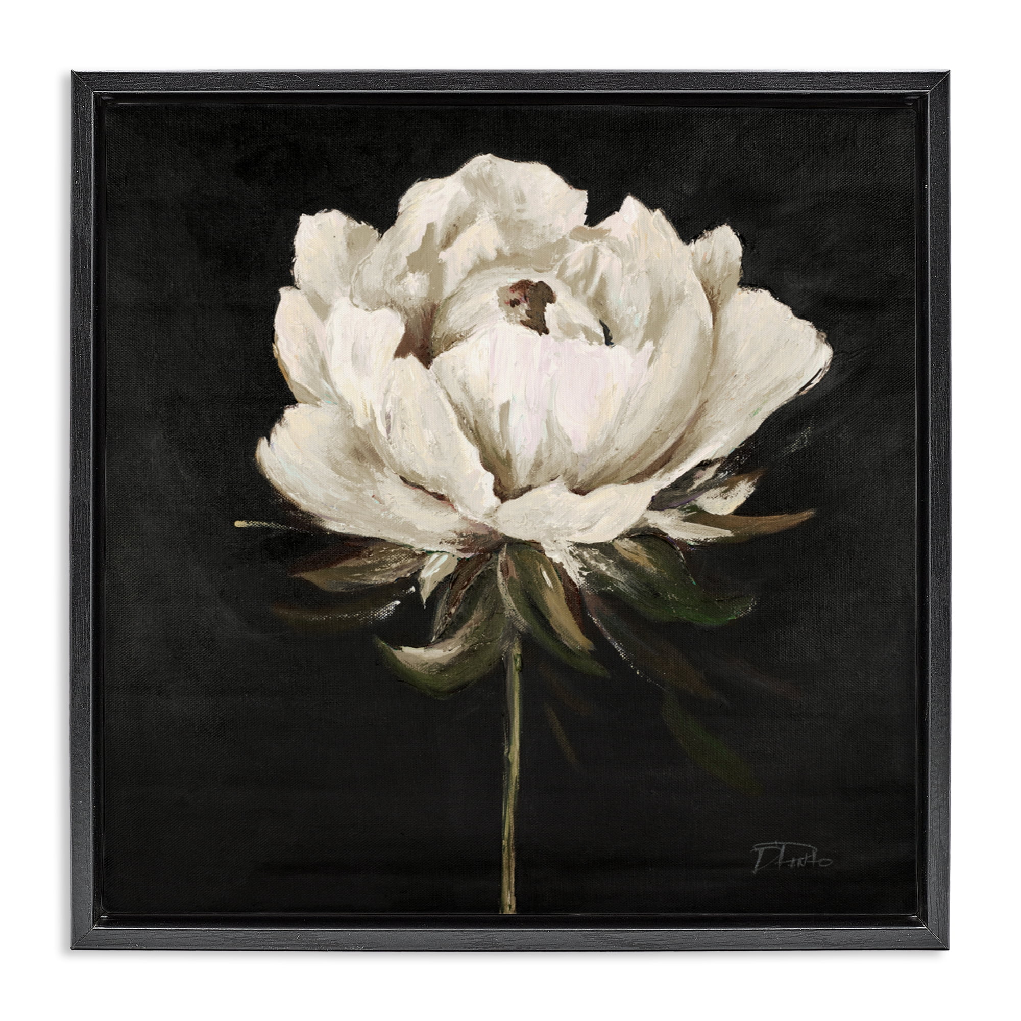 Stupell Industries Pretty Delicate Bloom on Black Black Framed Floater Canvas Wall Art, design by Patricia Pinto