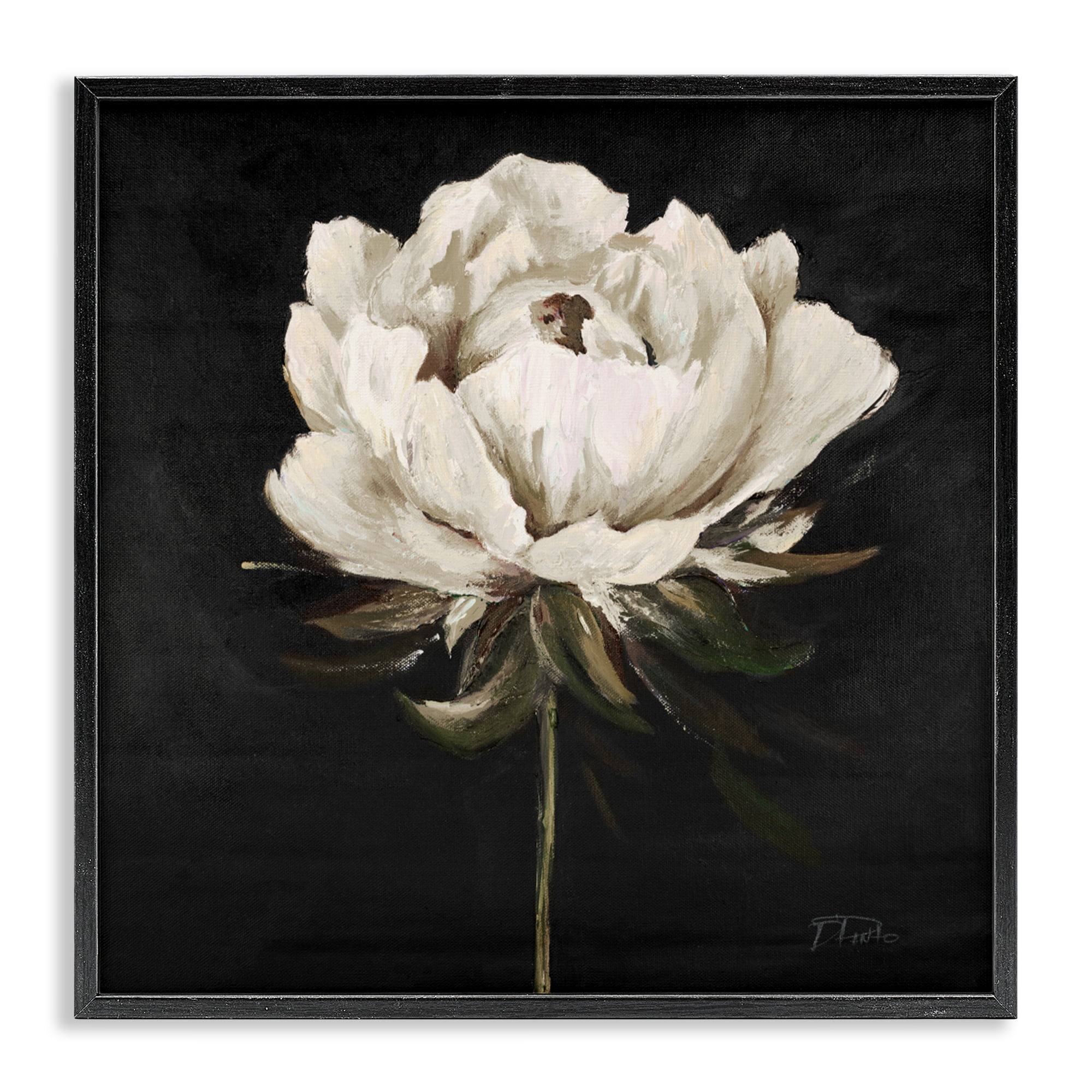 Stupell Industries Pretty Delicate Bloom on Black Black Framed Giclee Art, design by Patricia Pinto