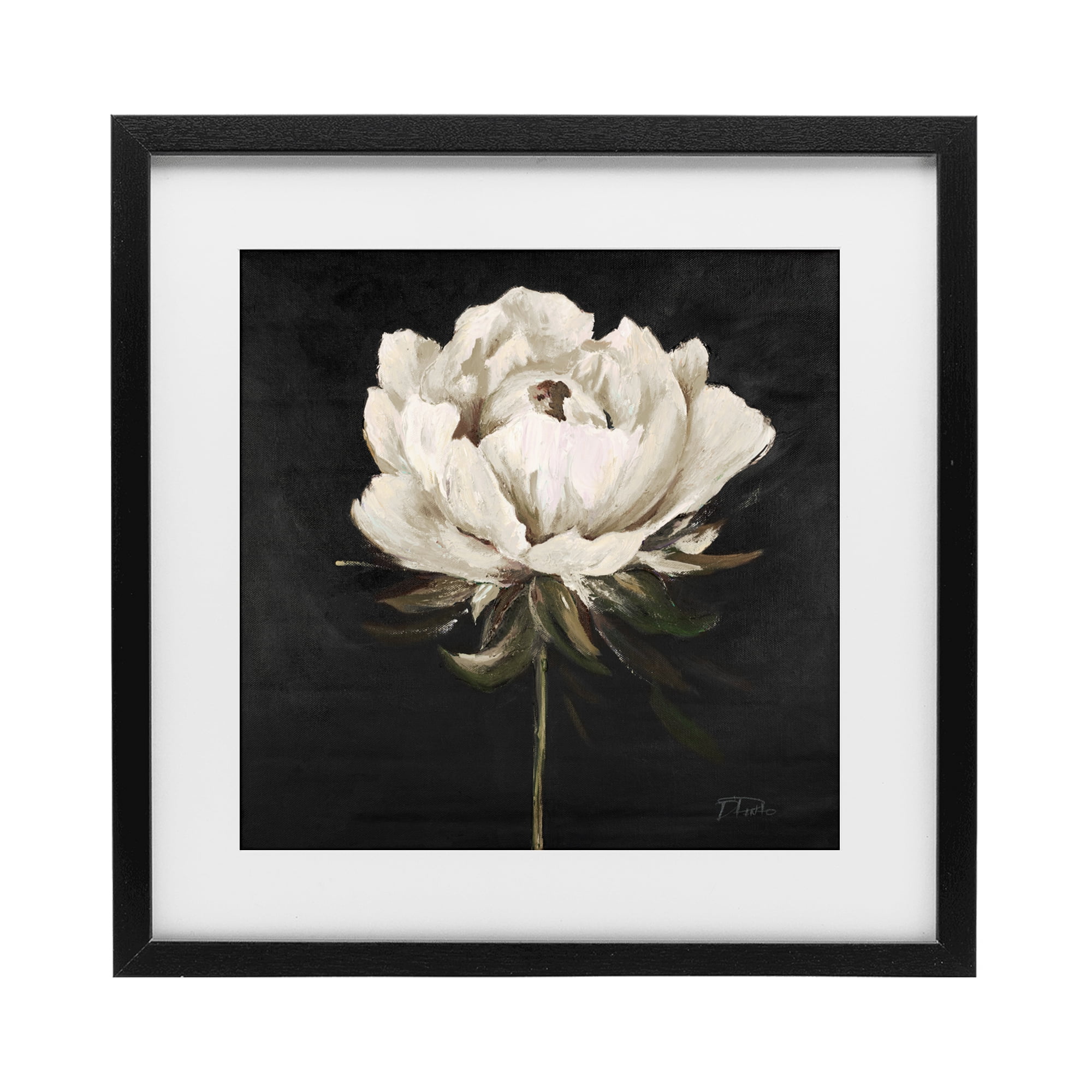 Stupell Industries Pretty Delicate Bloom on Black Black Framed Print Under Glass, design by Patricia Pinto
