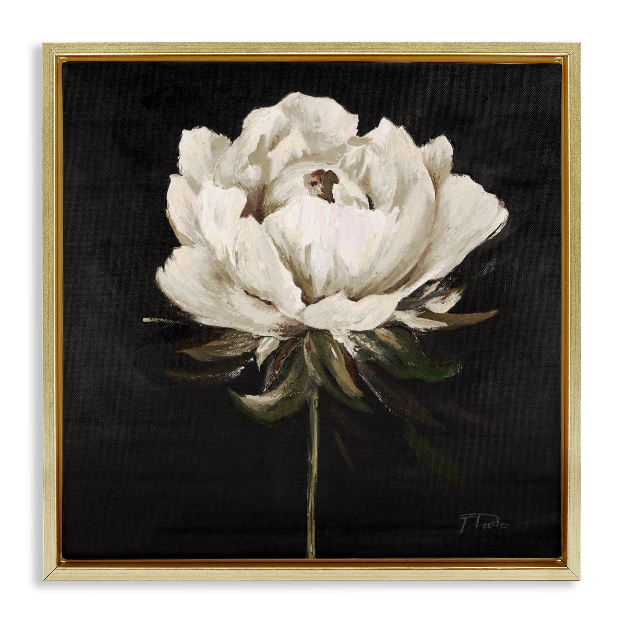 Stupell Industries Pretty Delicate Bloom on Black Gold Framed Floater Canvas Wall Art, design by Patricia Pinto