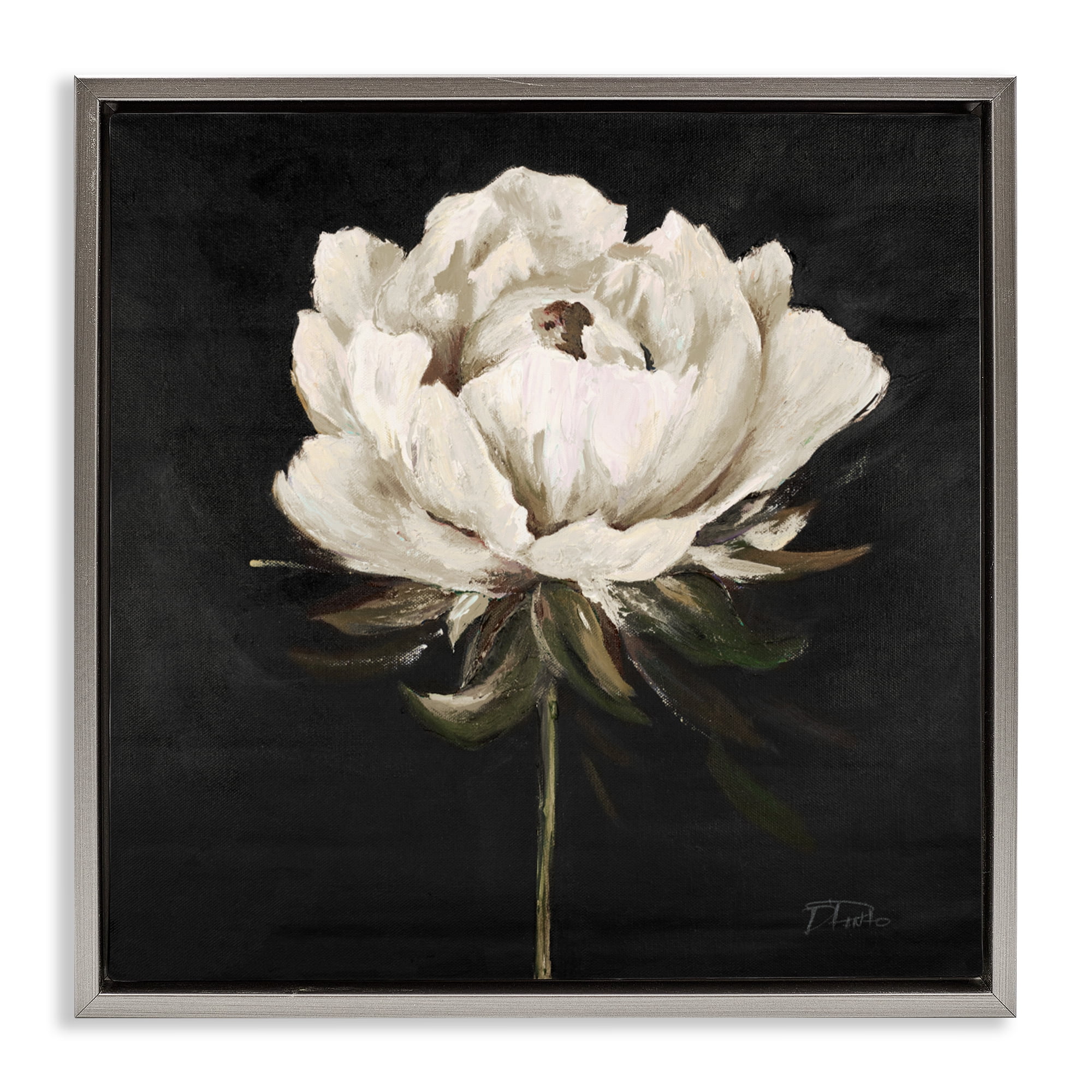 Stupell Industries Pretty Delicate Bloom on Black Gray Framed Floater Canvas Wall Art, design by Patricia Pinto