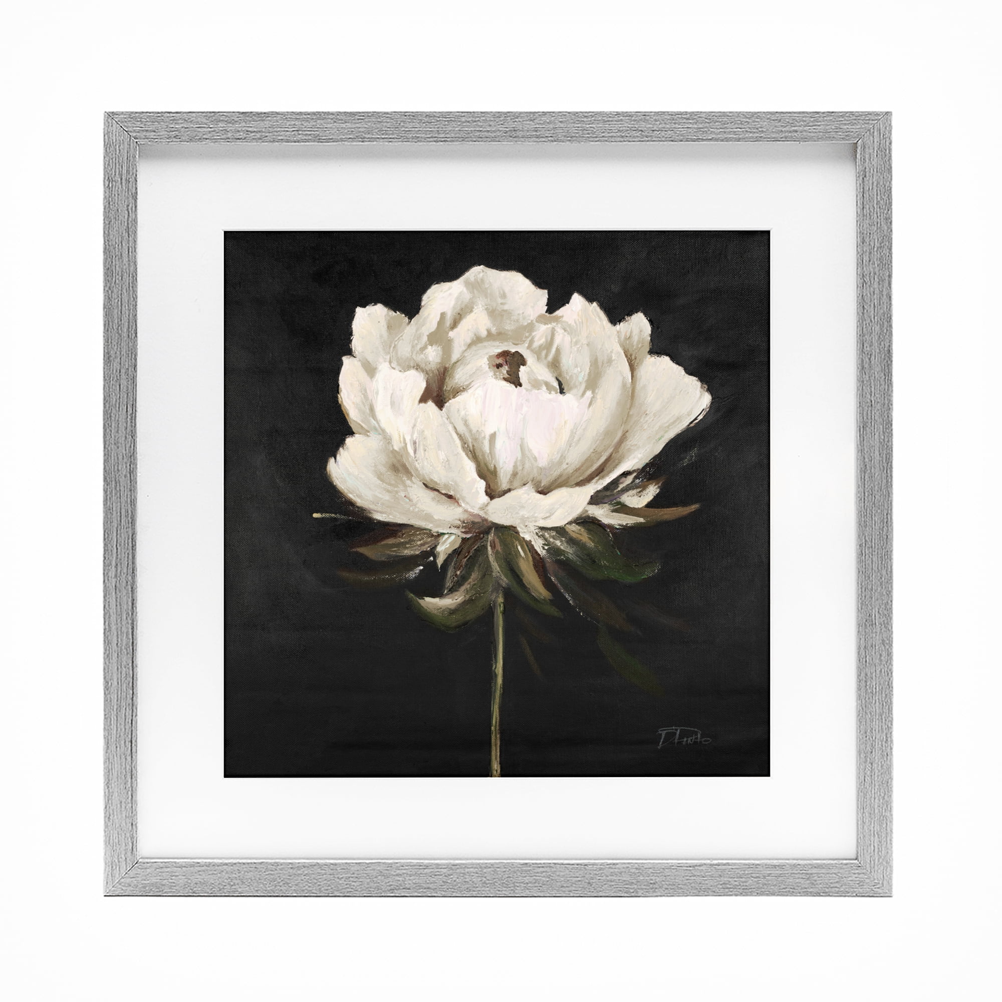 Stupell Industries Pretty Delicate Bloom on Black Gray Framed Print Under Glass, design by Patricia Pinto