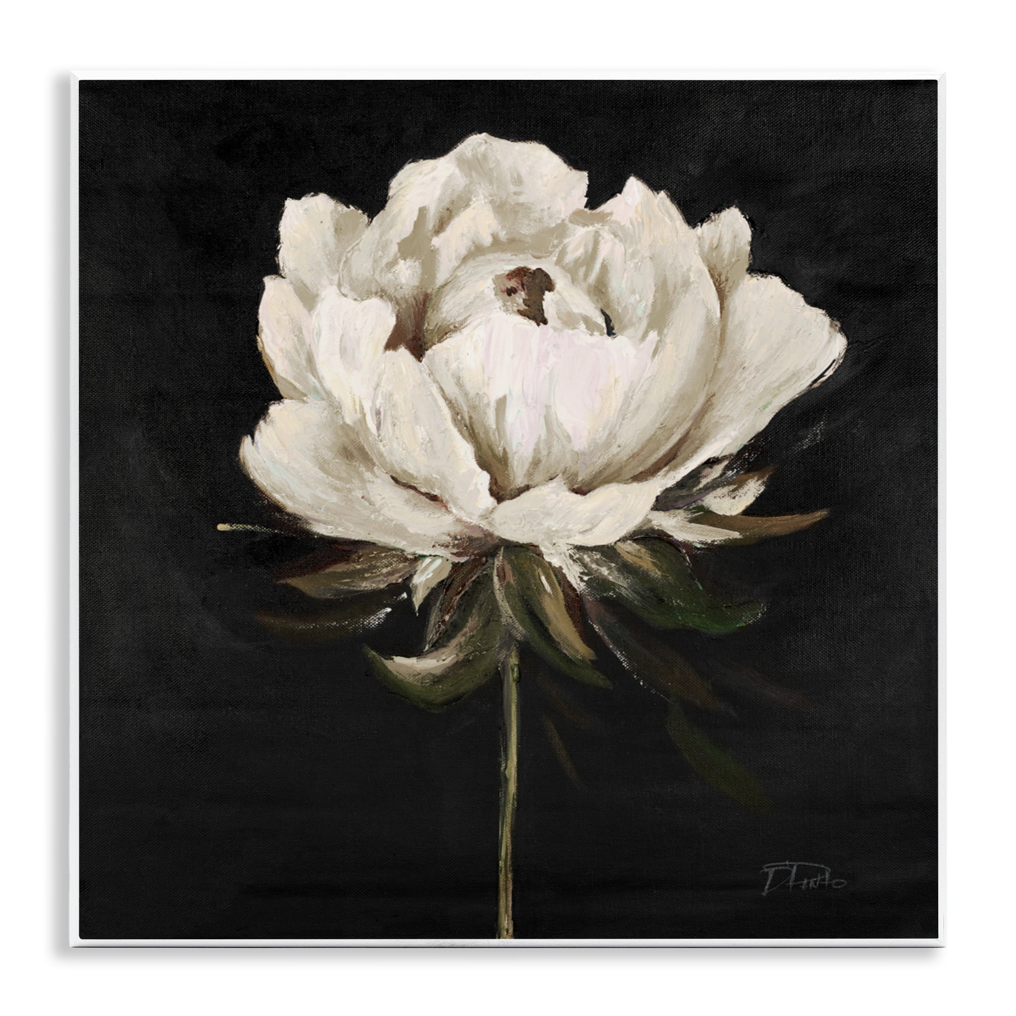 Stupell Industries Pretty Delicate Bloom on Black Wall Plaque Art, design by Patricia Pinto