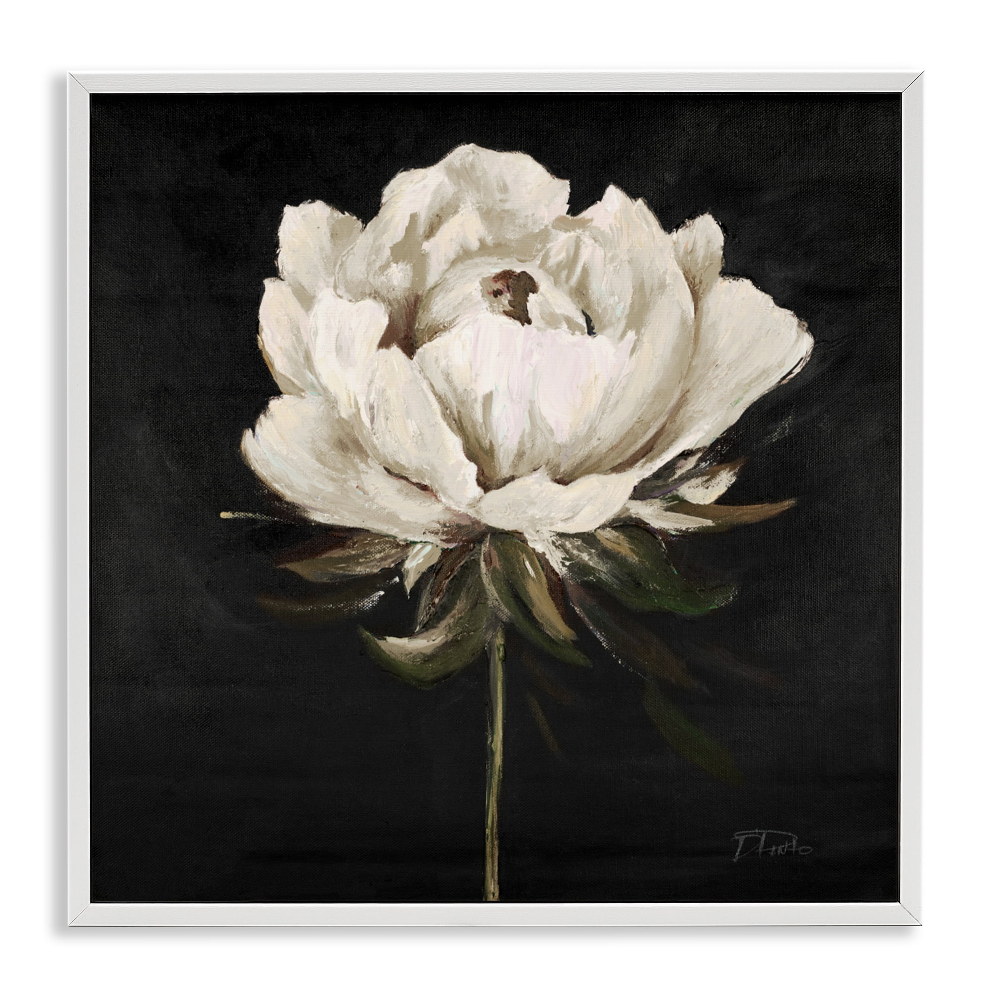 Stupell Industries Pretty Delicate Bloom on Black White Framed Giclee Art, design by Patricia Pinto