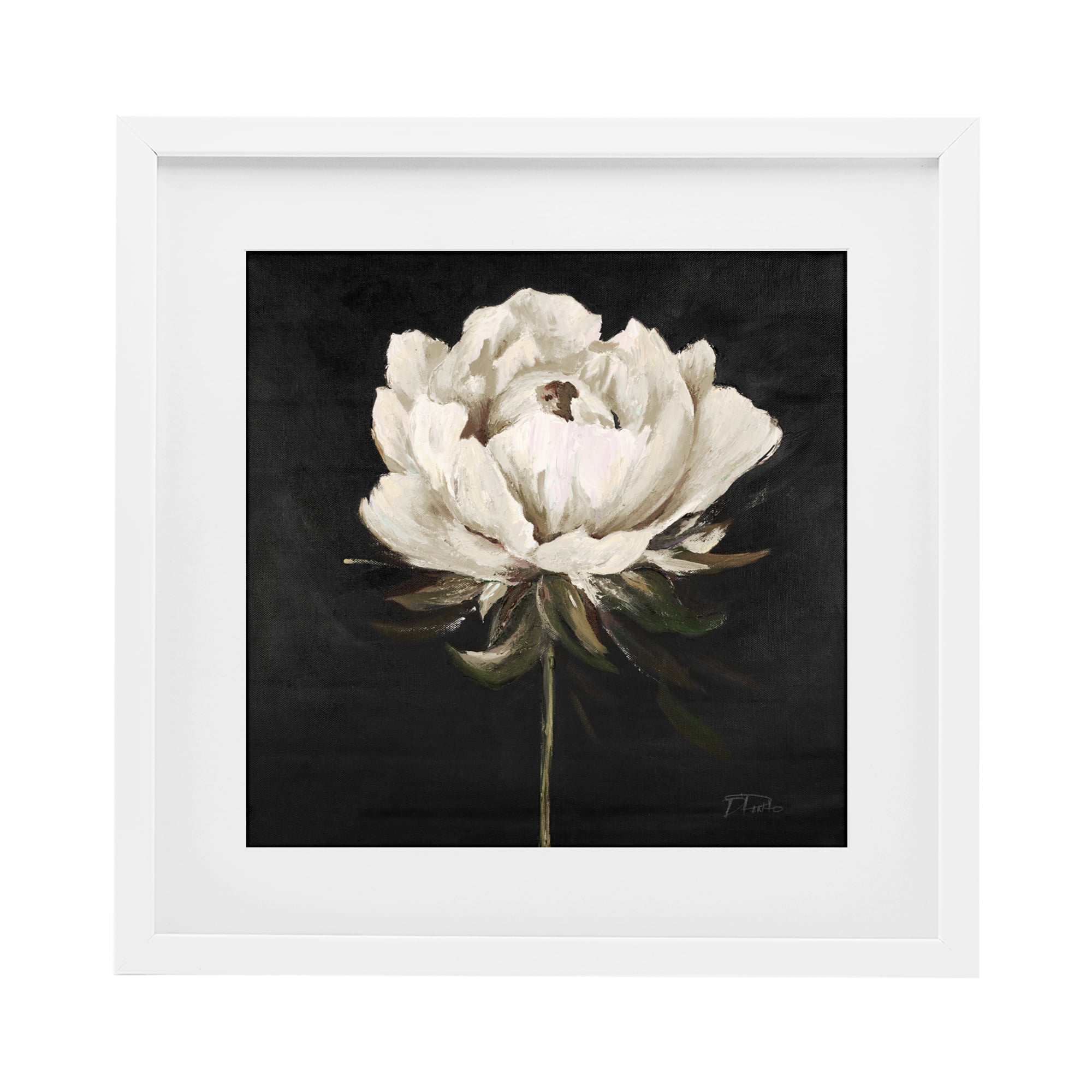Stupell Industries Pretty Delicate Bloom on Black White Framed Print Under Glass, design by Patricia Pinto