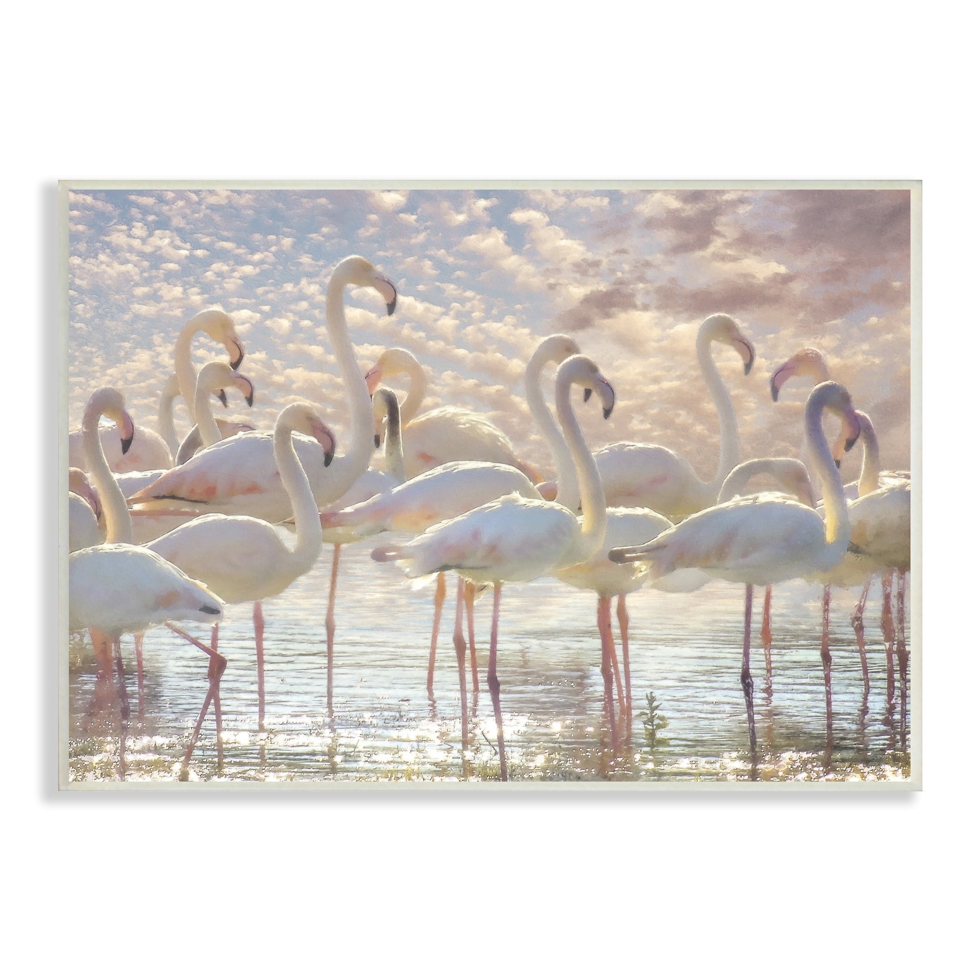 Stupell Industries Pretty Pink White Flamingos Standing Sparkling Water Clouds , 19 x 13, Design by Steve Hunziker