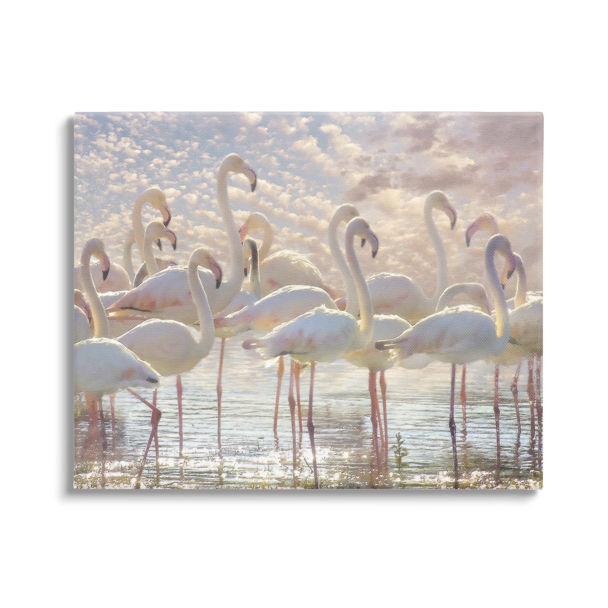 Stupell Industries Pretty Pink White Flamingos Standing Sparkling Water Clouds , 48 x 36, Design by Steve Hunziker