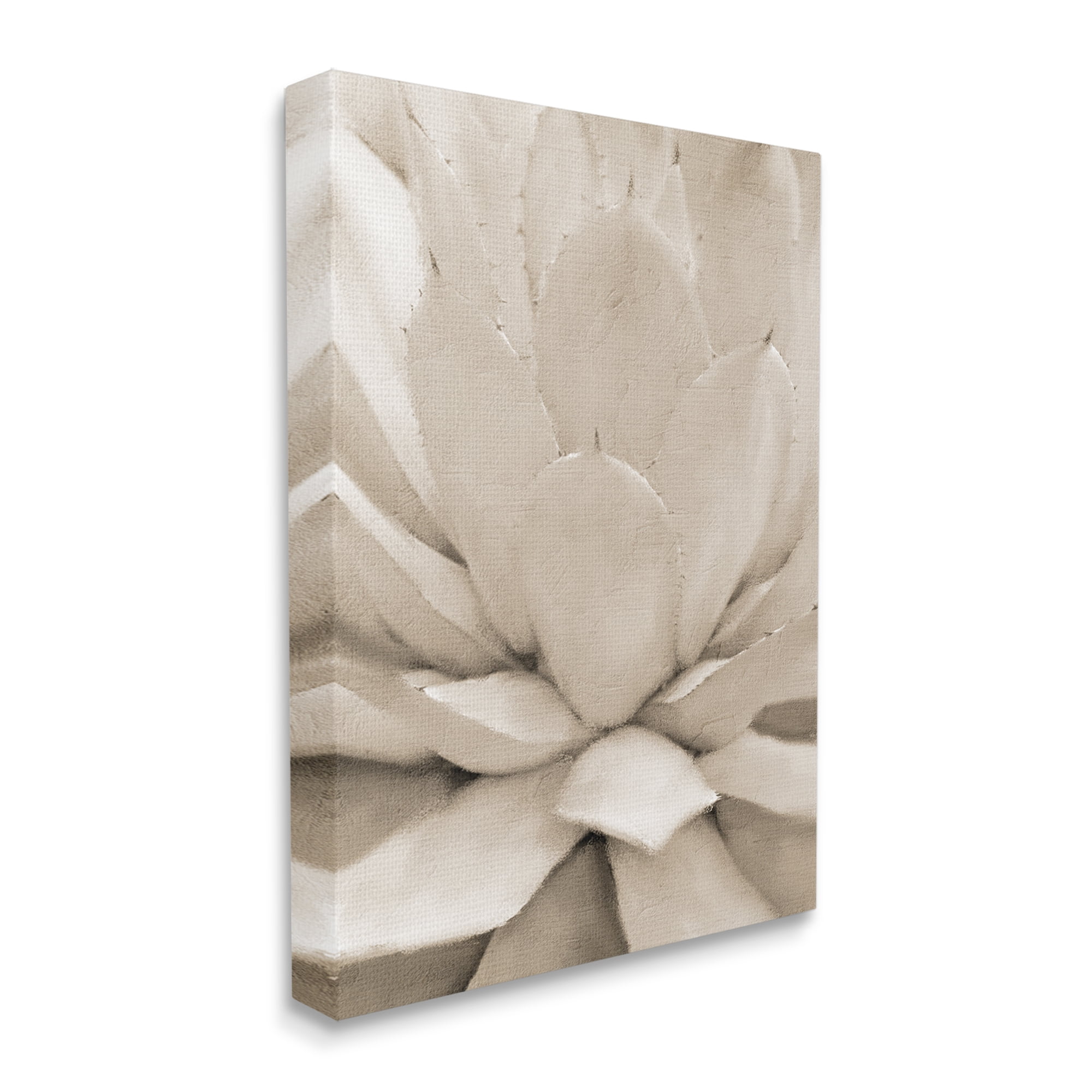 Stupell Industries Prickly Agave Plant Monochromatic Beige Desert Succulent, 24 x 30, Designed by Kim Allen