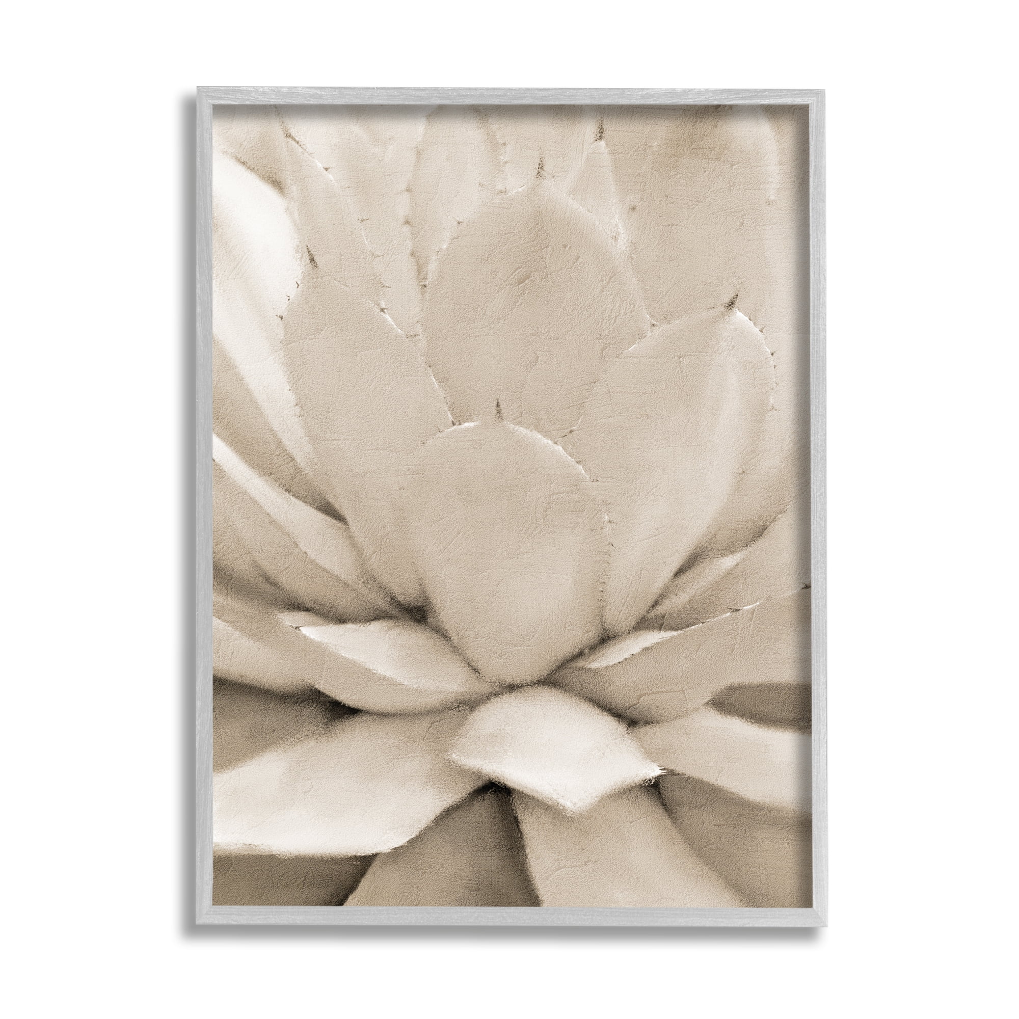 Stupell Industries Prickly Agave Plant Monochromatic Beige Desert Succulent Cabin Photography Gray Framed Art Print Wall Art, 24 x 30, Design by Kim Allen