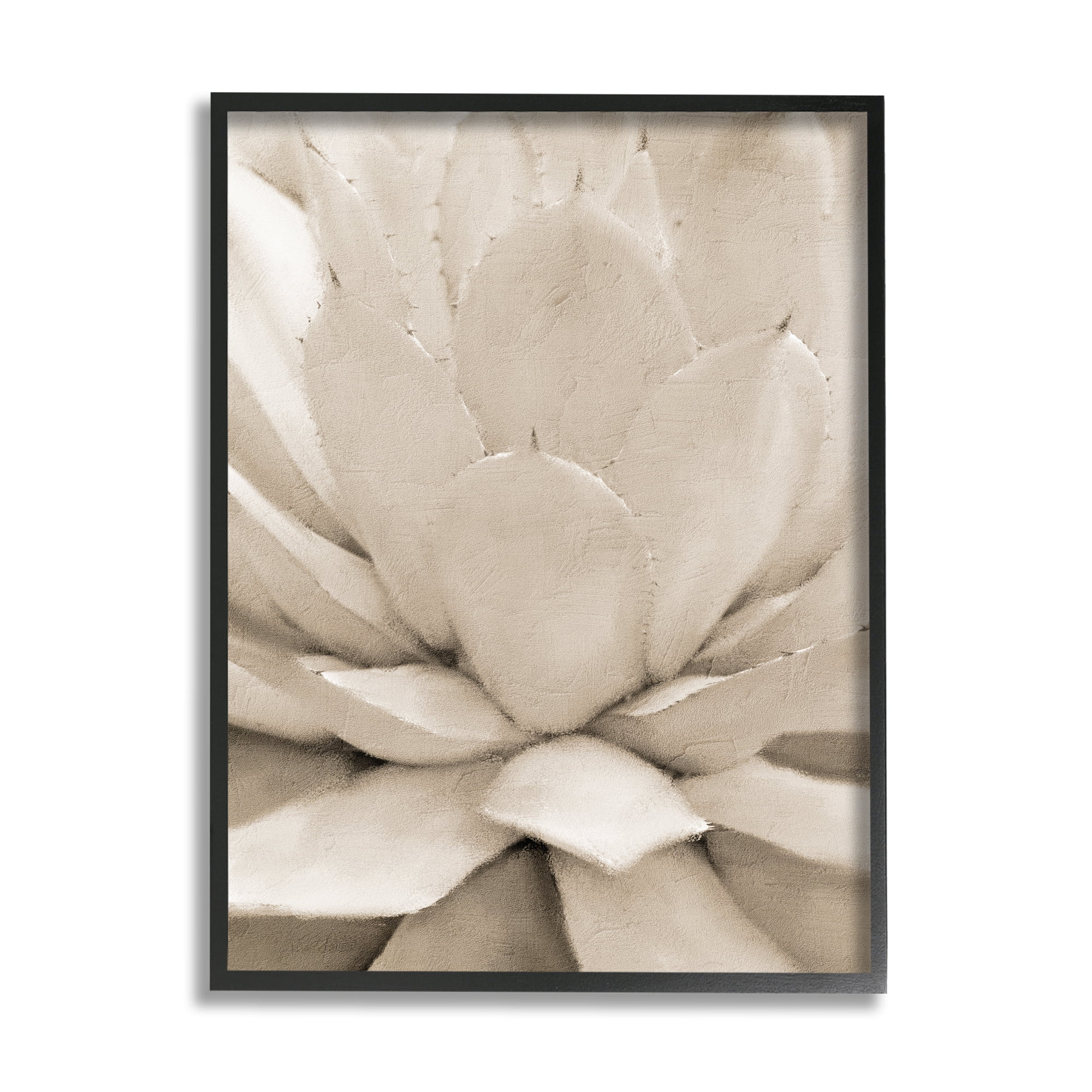 Stupell Industries Prickly Agave Plant Monochromatic Beige Desert Succulent Photography Black Framed Art Print Wall Art, 16x20, by Kim Allen