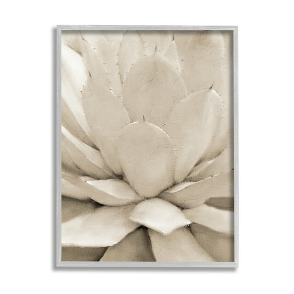Stupell Industries Prickly Agave Plant Monochromatic Beige Desert Succulent Photography Gray Framed Art Print Wall Art, 16x20, by Kim Allen