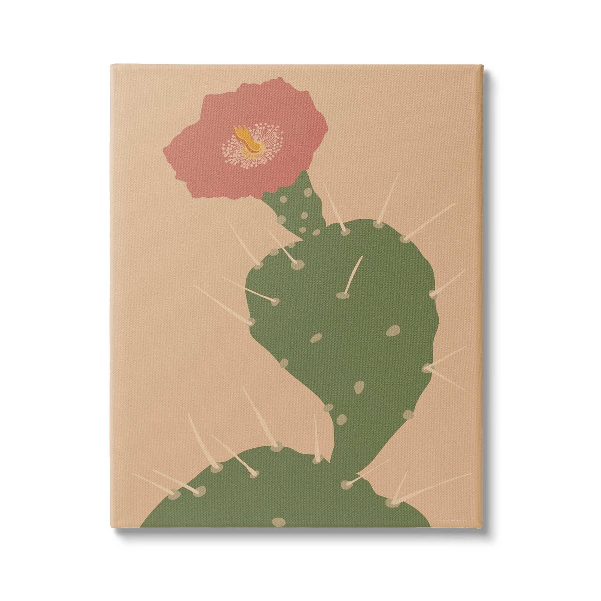 Stupell Industries Prickly Boho Cactus Flower Modern Pictorial Plant Graphic Art Gallery Wrapped Canvas Print Wall Art, Design by Kamdon Kreations