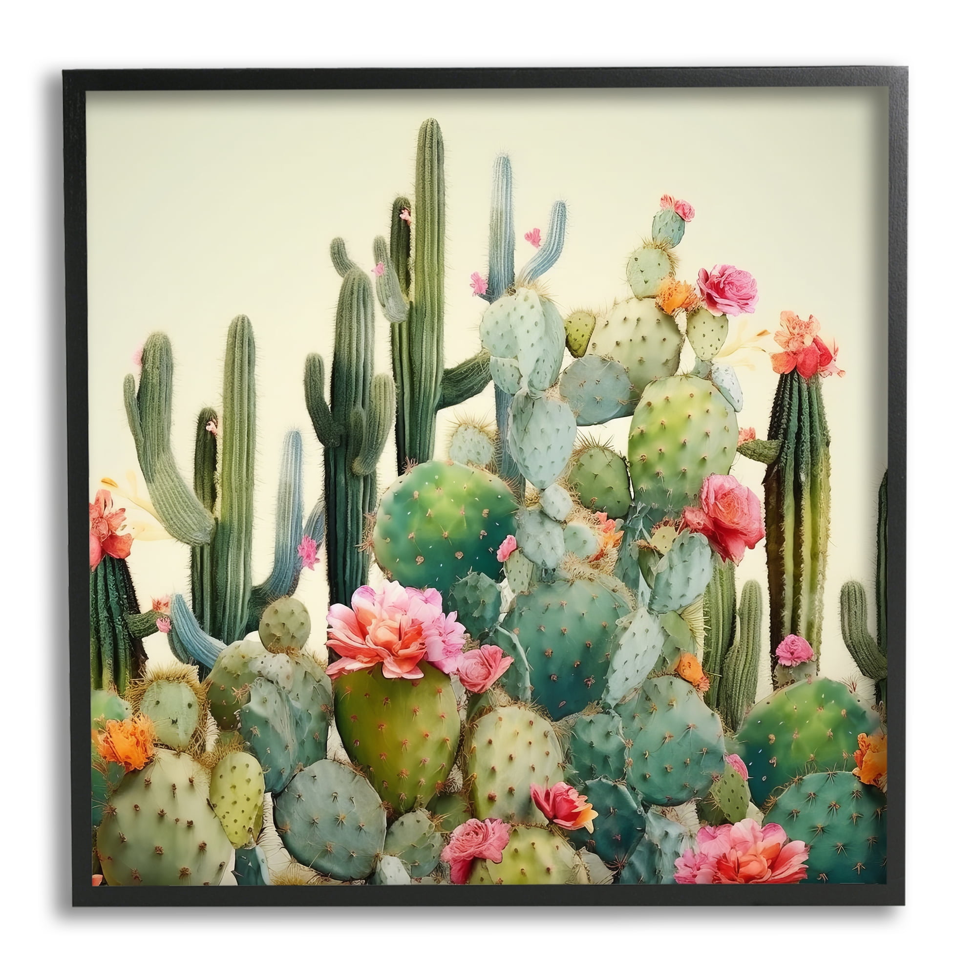 Stupell Industries Prickly Cactus Blooms Botanical & Floral Painting Black Framed Art Print Wall Art, 12 x 12