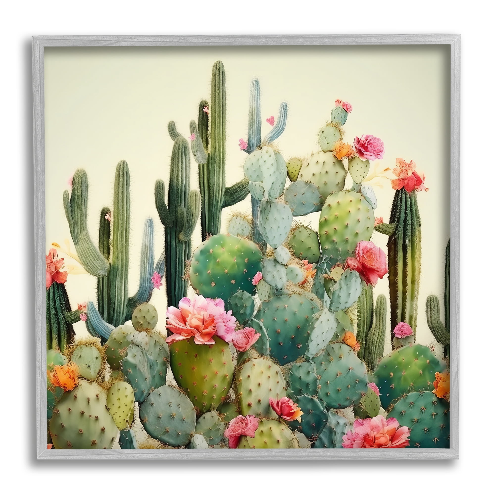 Stupell Industries Prickly Cactus Blooms Botanical & Floral Painting Gray Framed Art Print Wall Art, 17 x 17