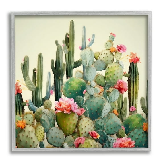 Stupell Industries Prickly Cactus Blooms Botanical & Floral Painting Gray Framed Art Print Wall Art, 24 x 24