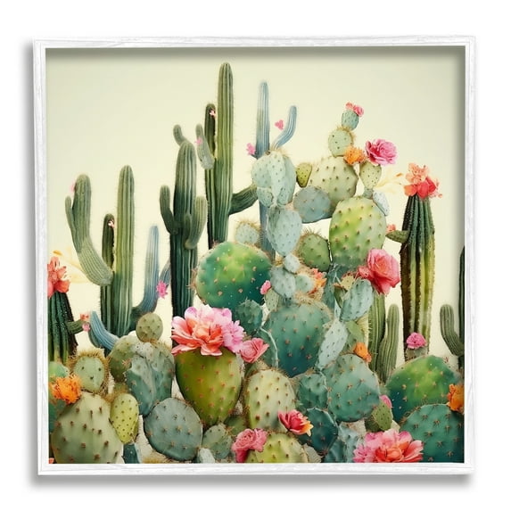 Stupell Industries Prickly Cactus Blooms Botanical & Floral Painting White Framed Art Print Wall Art, 12 x 12