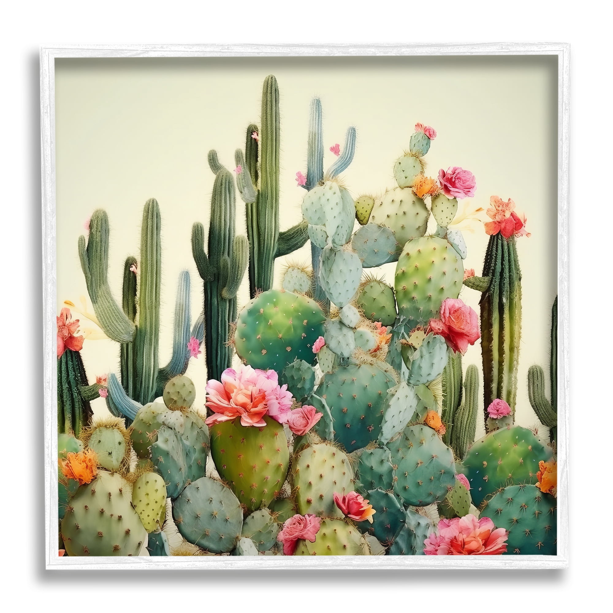Stupell Industries Prickly Cactus Blooms Botanical & Floral Painting White Framed Art Print Wall Art, 24 x 24