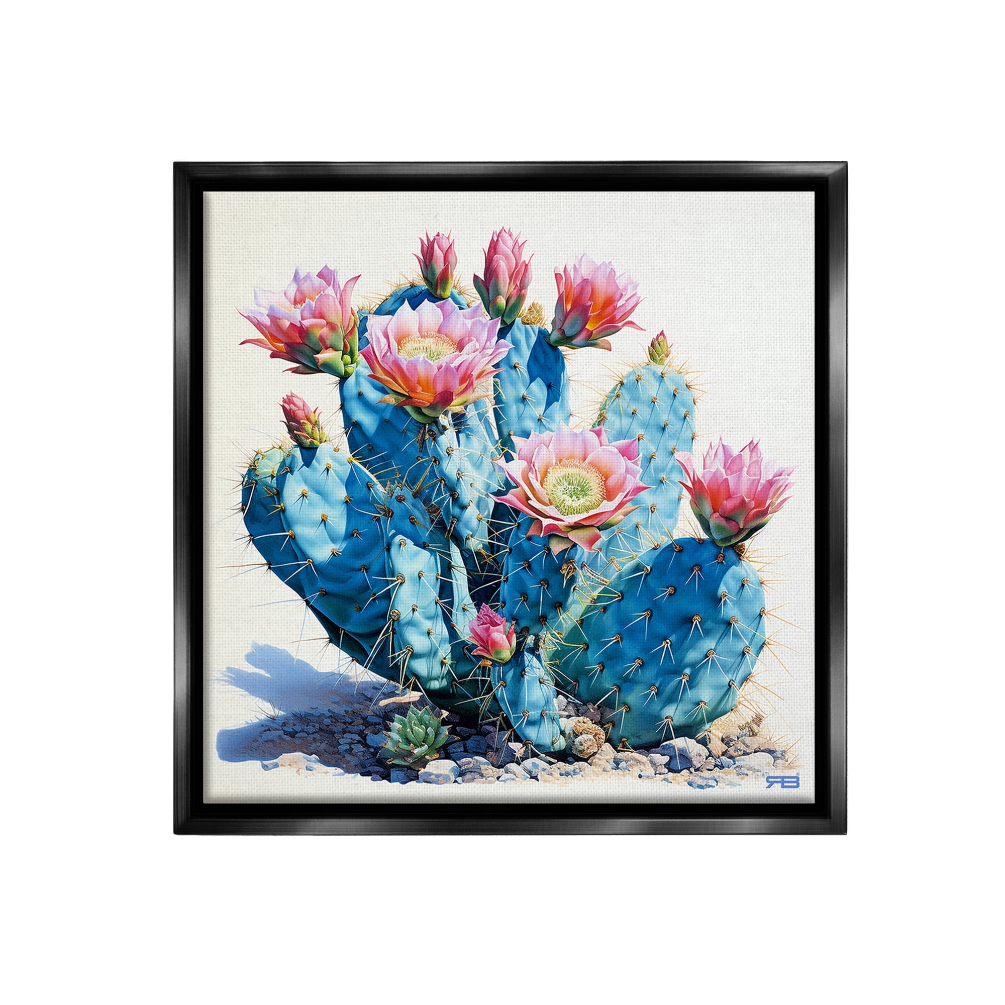 Stupell Industries Prickly Cactus Blossoms Botanical & Floral Painting Black Floater Framed Canvas Art Print Wall Art, 25 x 25