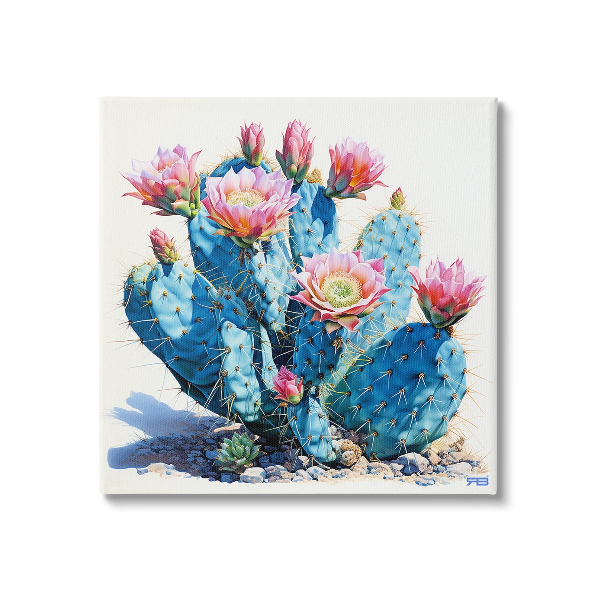 Stupell Industries Prickly Cactus Blossoms Botanical & Floral Painting Gallery Wrapped Canvas Art Print Wall Art, 30 x 30