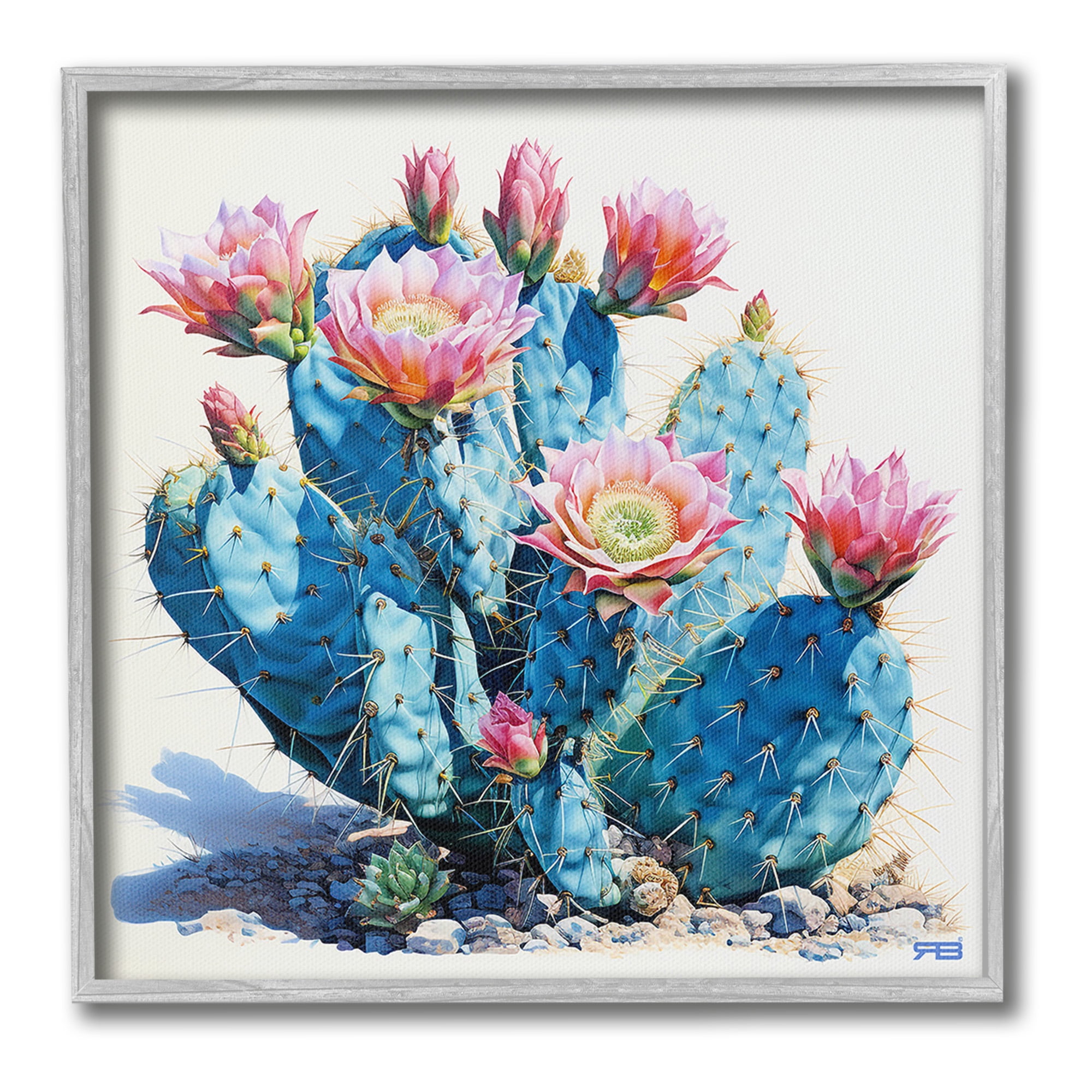Stupell Industries Prickly Cactus Blossoms Botanical & Floral Painting Gray Framed Art Print Wall Art, 17 x 17
