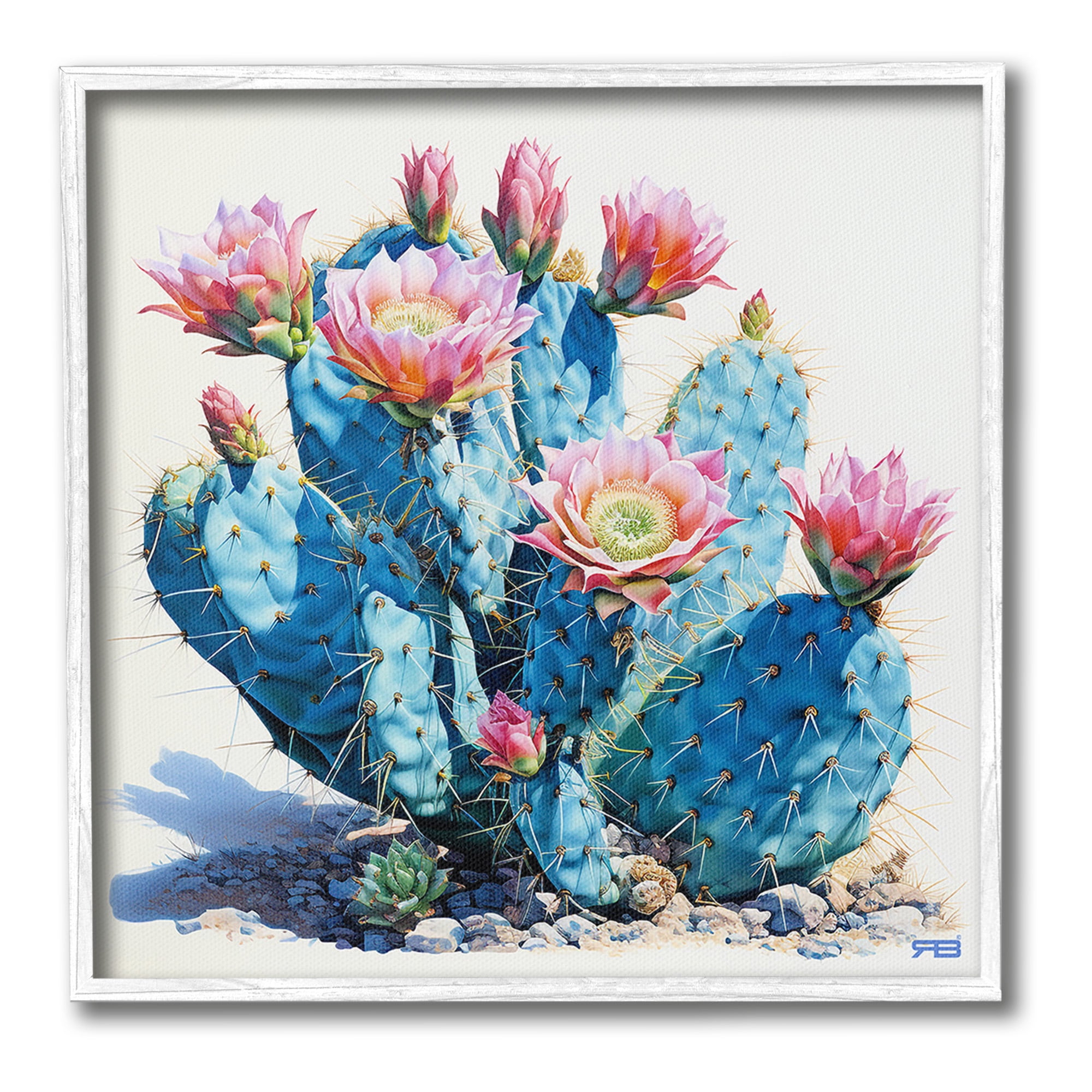 Stupell Industries Prickly Cactus Blossoms Botanical & Floral Painting White Framed Art Print Wall Art, 17 x 17