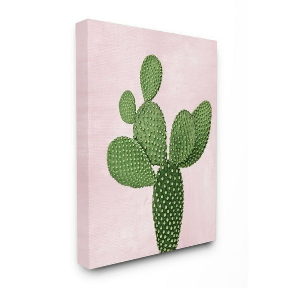 Stupell Industries Prickly Cactus Dessert Plant Nature Succulent Pink Green Canvas Wall Art Design by Mia Jensen, 16" x 20"