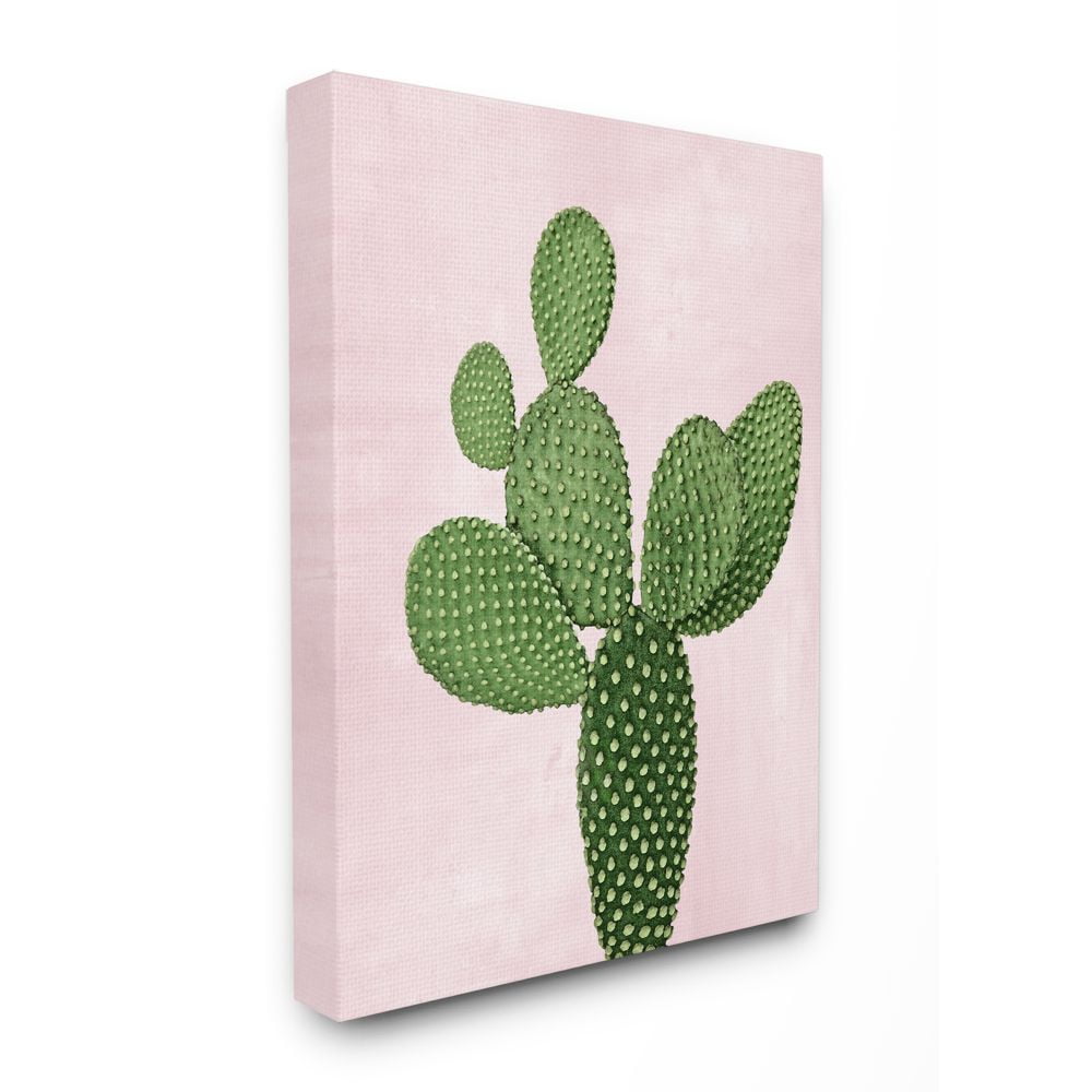 Stupell Industries Prickly Cactus Dessert Plant Nature Succulent Pink Green Canvas Wall Art Design by Mia Jensen, 24" x 30"